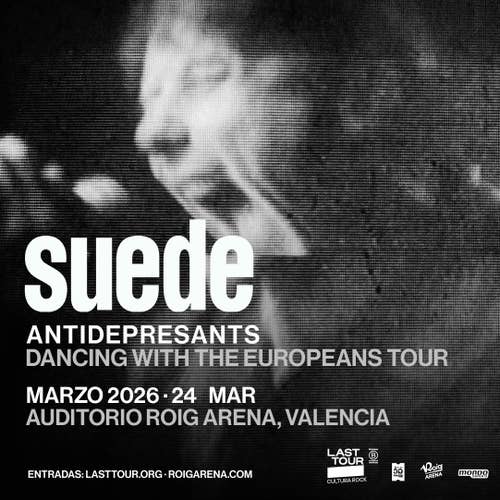 Concierto Suede