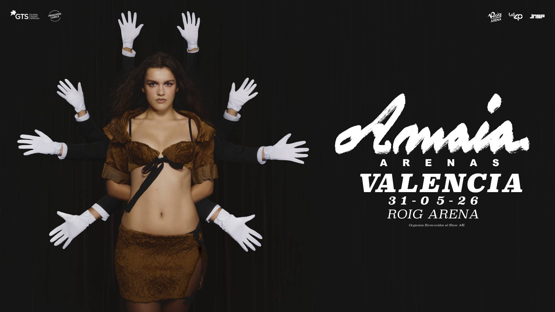 Anuncio Concierto Amaia