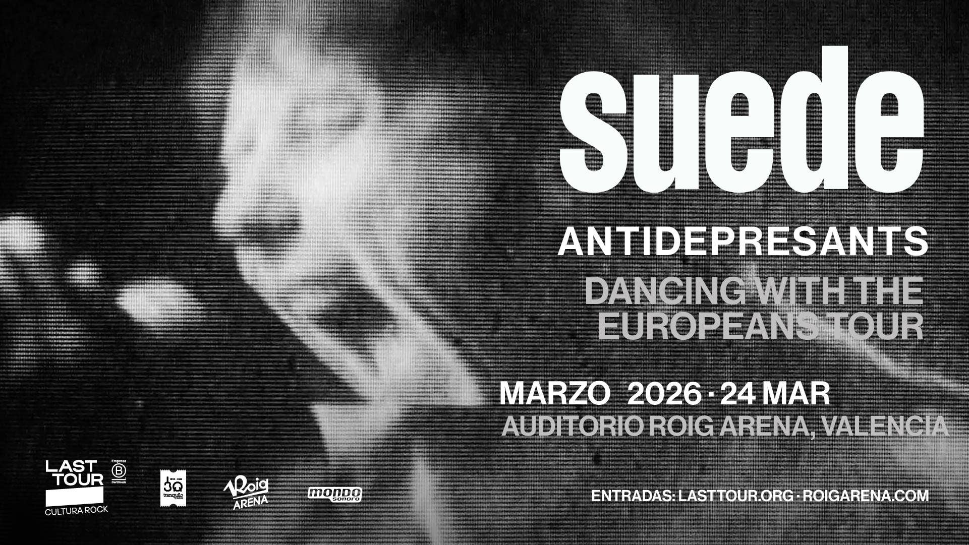Concierto Suede