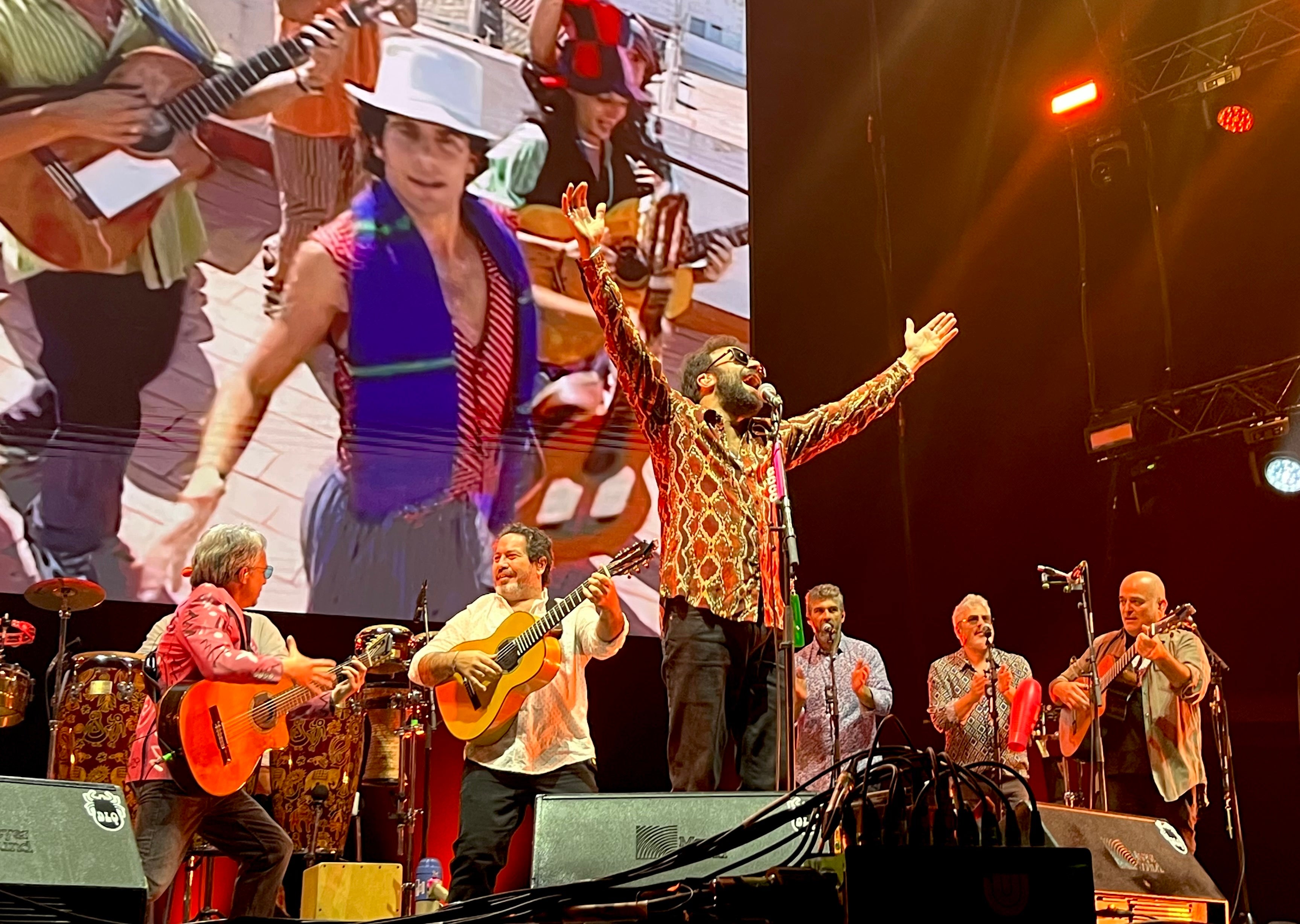 Concierto Los Delinqüentes
