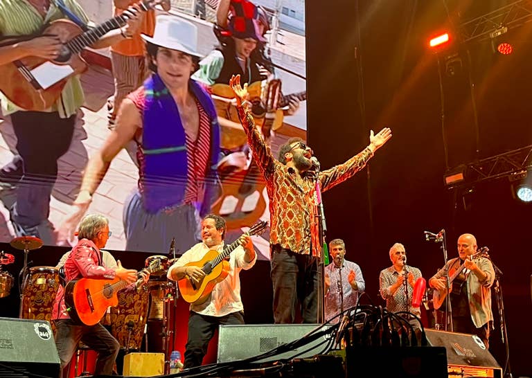 Concierto Los Delinqüentes