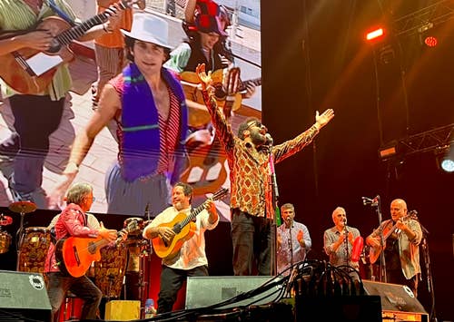 Concierto Los Delinqüentes
